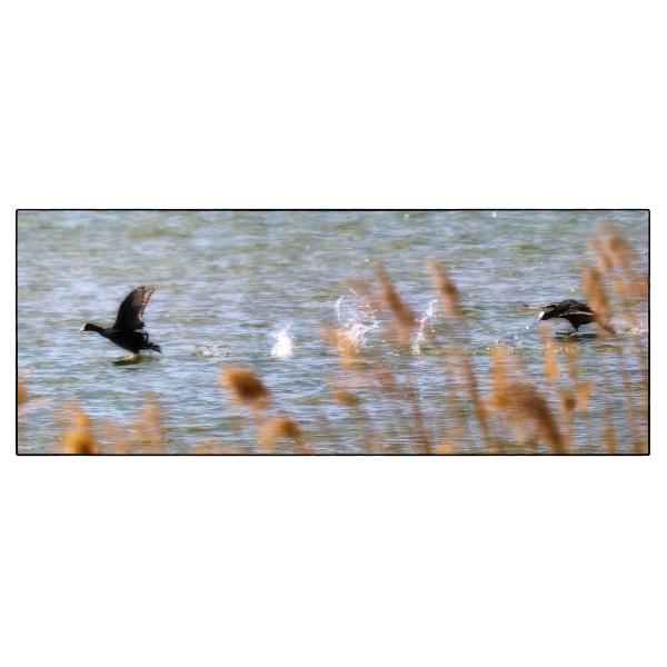 PHOTO84, CLUB, 84 , LUBERON